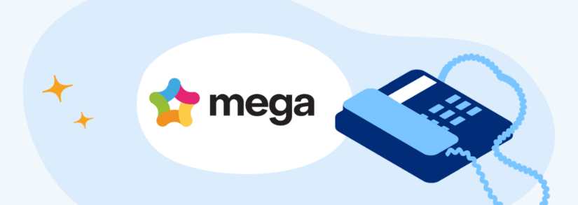 mega banner